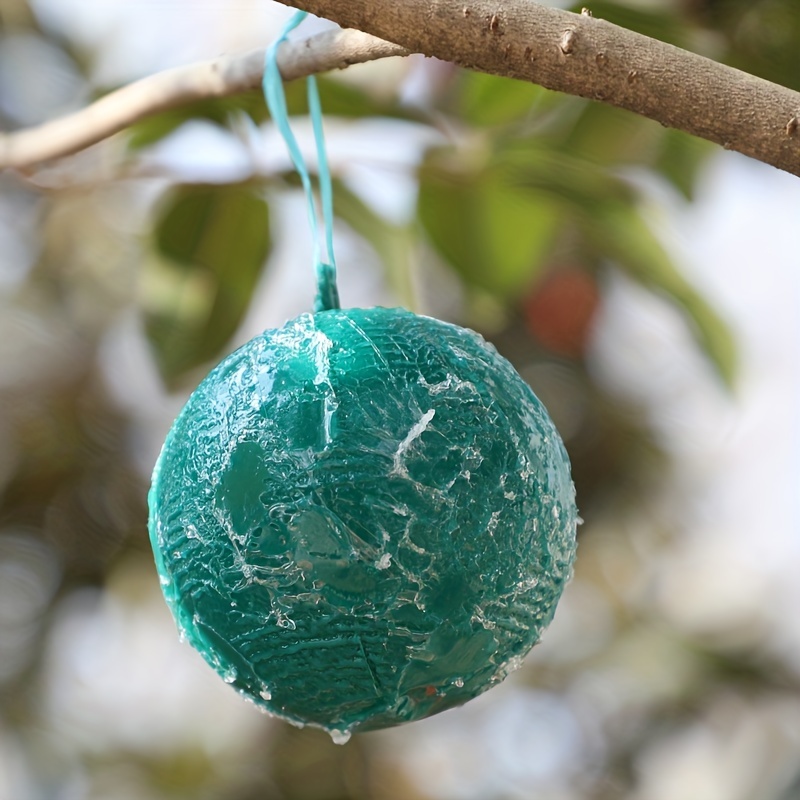 Cute Ball Design Sticky Traps: Capture Fruit Flies - Temu