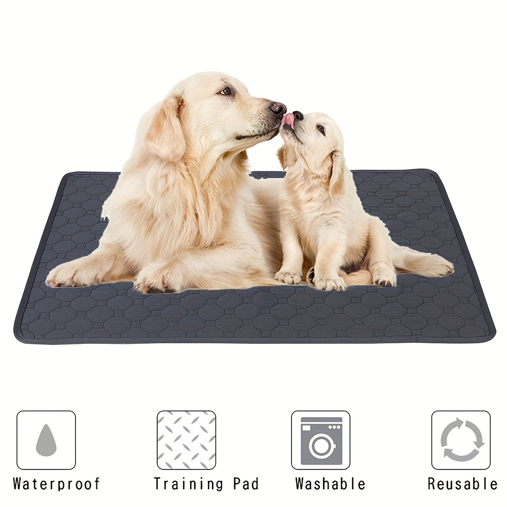 Pee Pads for Dogs Reusable Washable Absorbency Large Incontinence Training  Pads
