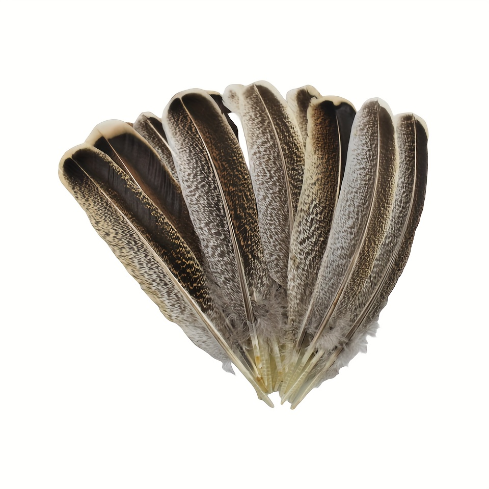 Natural Pheasant Feathers Spotted Feathers Turkey Feathers 4 - Temu