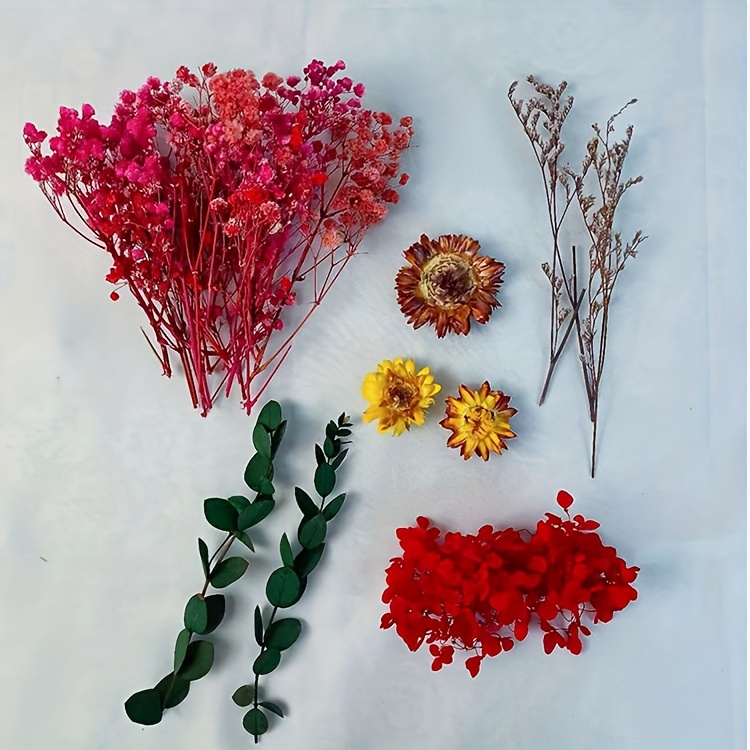 Diy Craft Dried Flower Materials Mixed Dried Flowers For - Temu