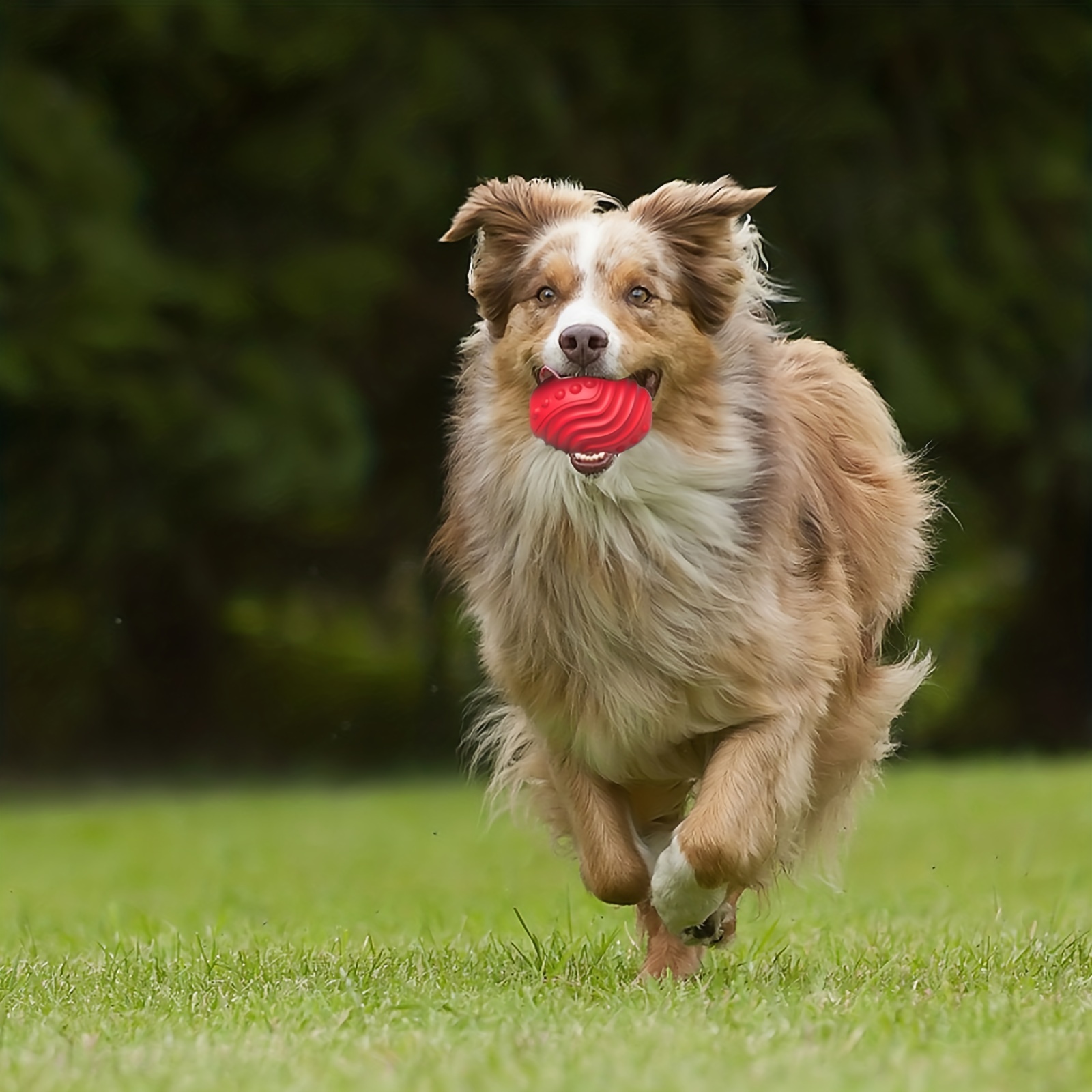 Durable Dog Toys For Aggressive Chewers Squeaky Balls Flying - Temu