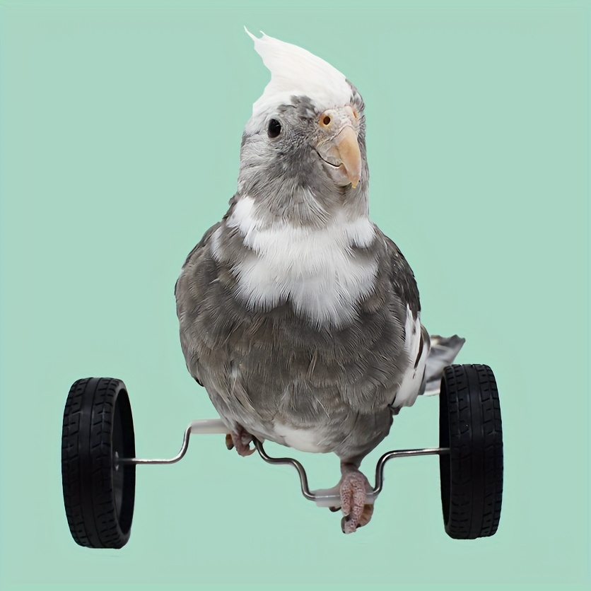 Bird Toys Parrot Balance Car Pulling Box Small Medium Bird - Temu