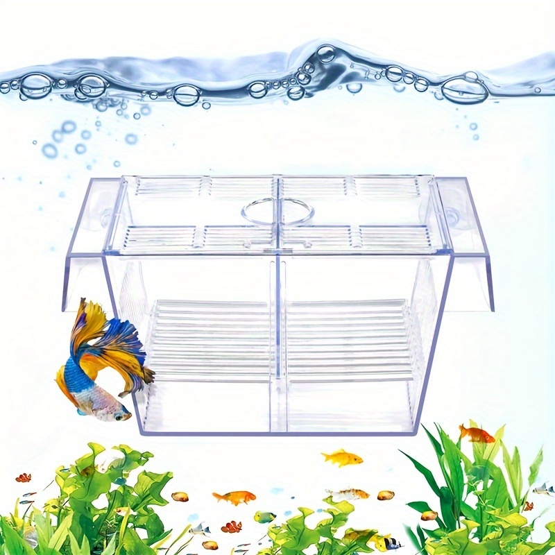 Boîte d'isolement de poisson Boîte d'élevage de poissons transparente