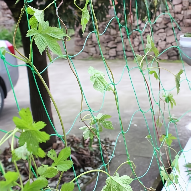 YMXBHN Rete a Traliccio per Piante da Giardino, Rete Decorativa per Piante  Rampicanti, Rete di Supporto per Piante Rampicanti da Giardino, per