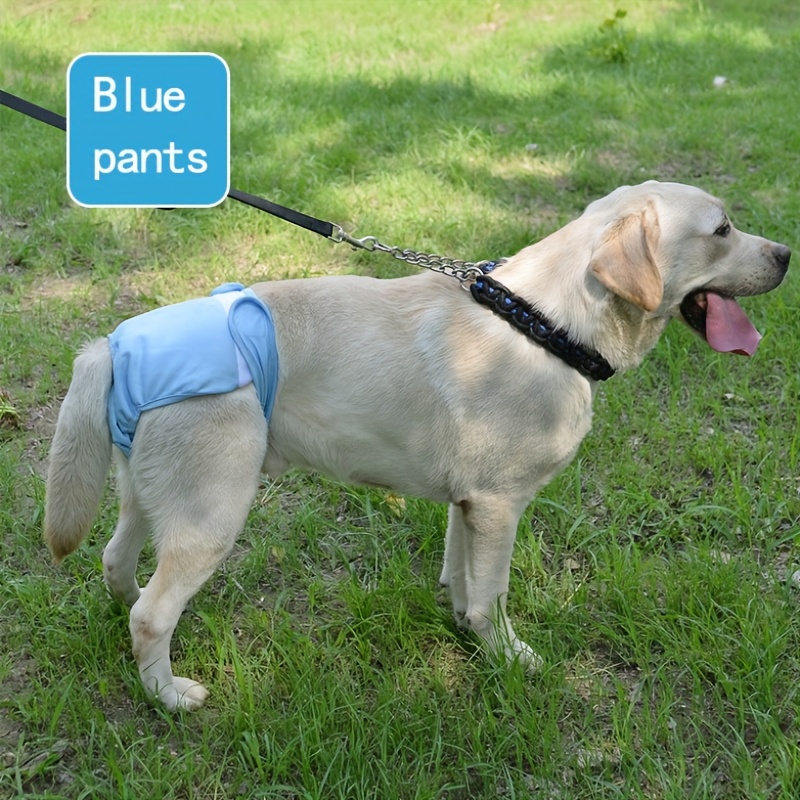 Dog diapers female on sale labrador