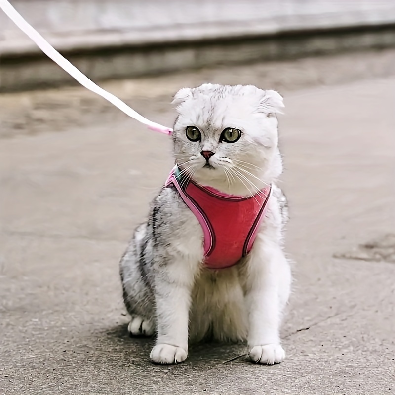 BINGPET Arnés para gatos con correa a prueba de escape: arnés de malla de  moda para gatos y perros, ajustable para gatitos, cachorros, animales