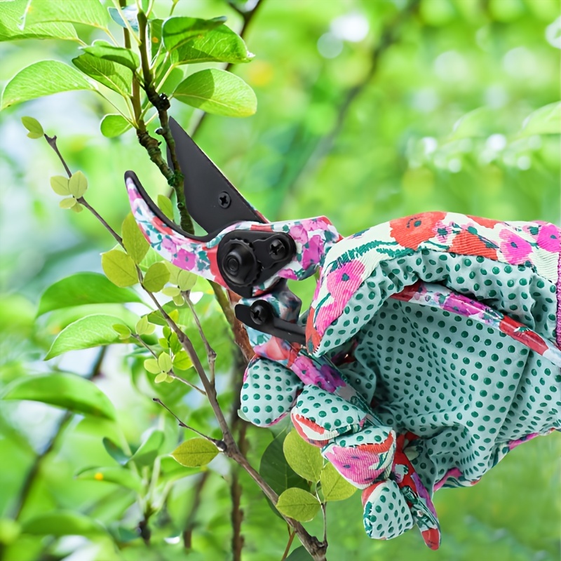 Juego de 3 tijeras de podar de jardín con cuchillas de acero inoxidable y  guantes de jardinería