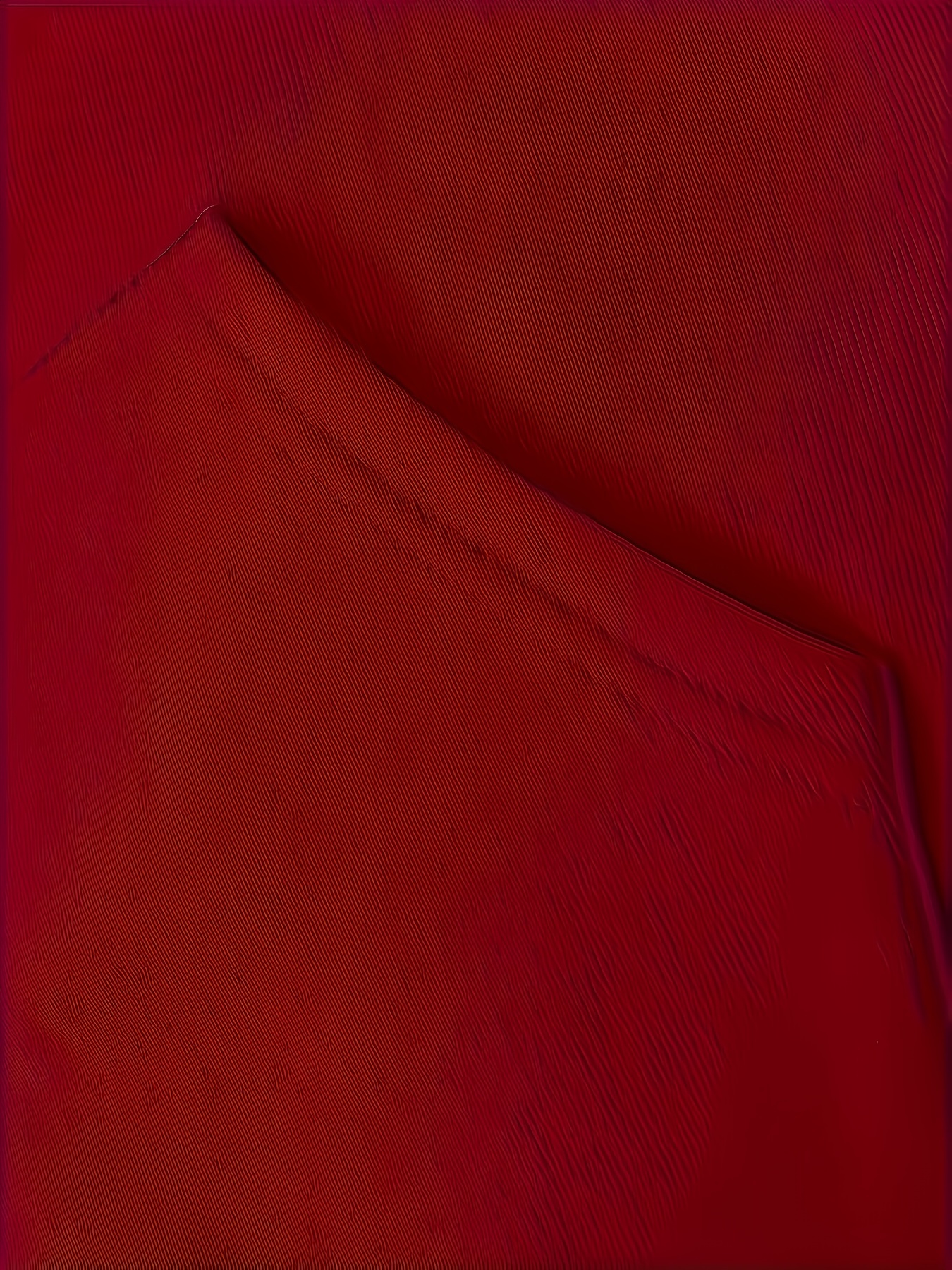 Printed Cotton Hoodie - Luxury Red