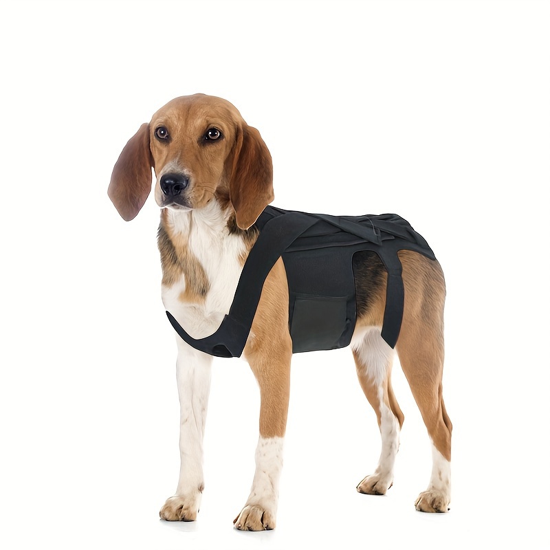 Dog Back Brace for IVDD, Back Brace Comfortable Full Body Harness Dog  Clothing Dog Back Protector S 