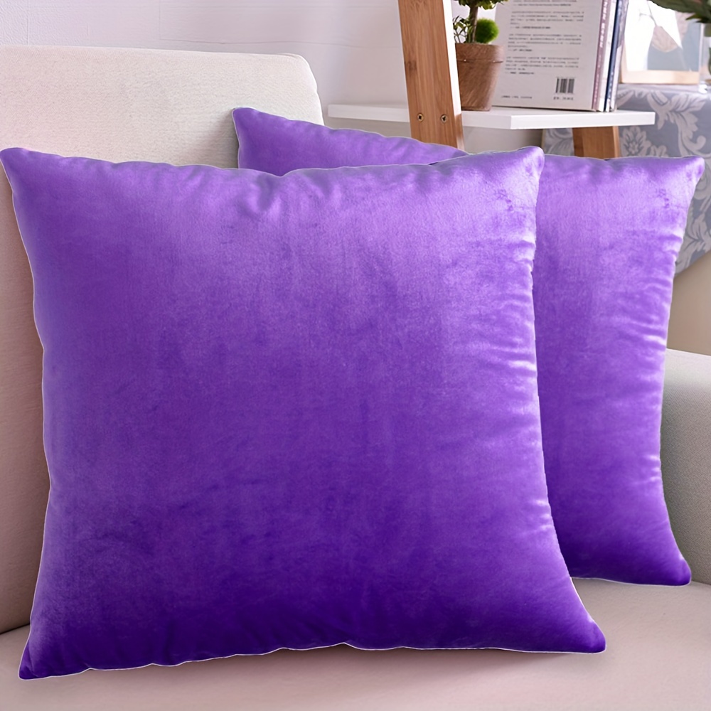 2Pcs Throw Pillows Washable Throw Pillow Sofa Decoration Supple Throw Pillow