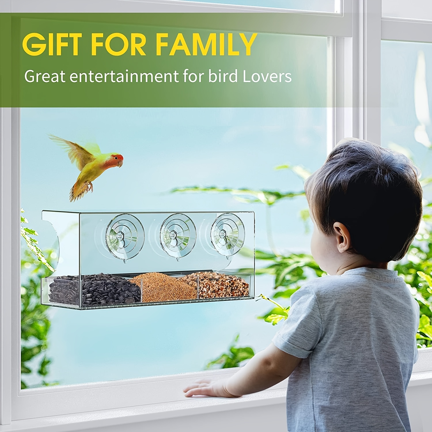 1pc Mangeoire Pour Oiseaux De Fenêtre Avec Ventouses Puissantes, Mangeoires  Pour Oiseaux De Fenêtre Transparentes Pour