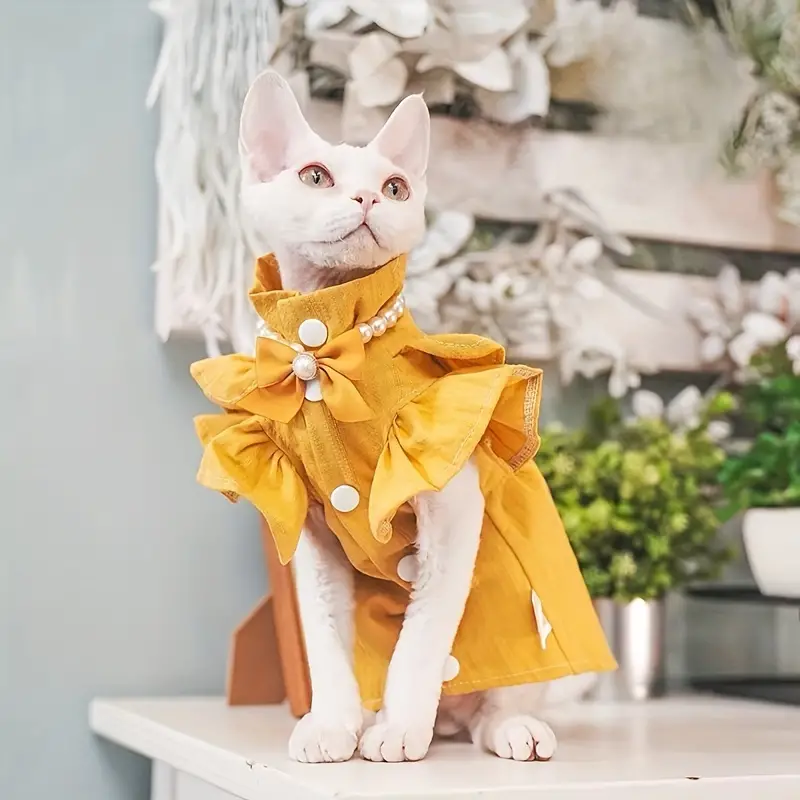 kitten dress