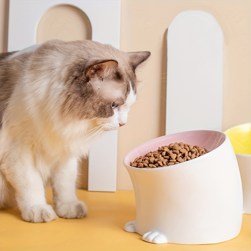 Cat collar shop food bowl