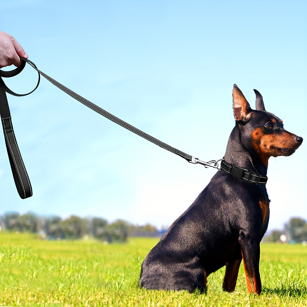 Naturina presenta Tirostop: il guinzaglio top per il cane