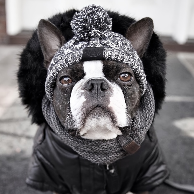Cappelli Invernali Per Cani Caldi Cappello Bulldog Francese Lavorato A  Maglia Antivento Per Cani Cappello Chihuahua Accessori Per Cuccioli Con  Palla