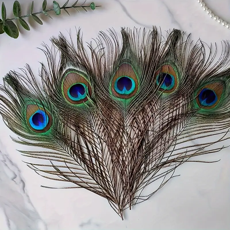 Lot Peacock Eye Feathers Tail natural Long Peacock Eye - Temu