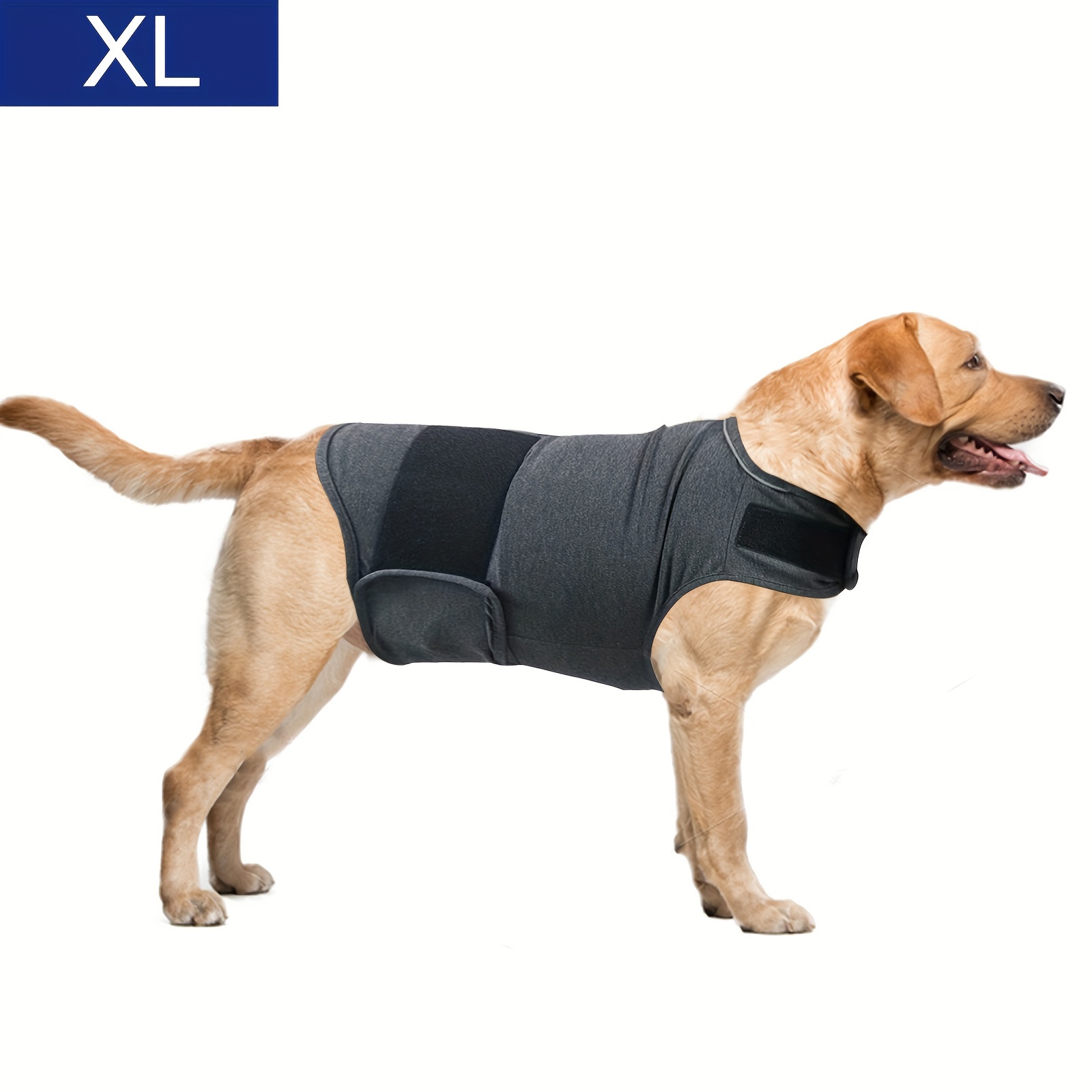 Gilet Anti-ansia Cani, Comoda Giacca Calmante Cani, Ansietà Separata Cani  Piccola Taglia, Vestiti Lenitivi Calmanti E Traspiranti Cani Taglia  Piccola, Media E Grande - Forniture Animali Domestici - Temu Italy