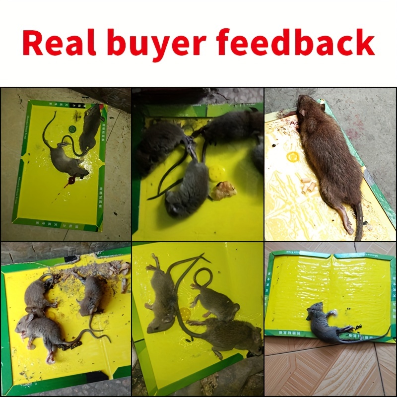 1-5PCS Mouse Board Sticky Rat Glue Mouse Trap Glue Board Mice