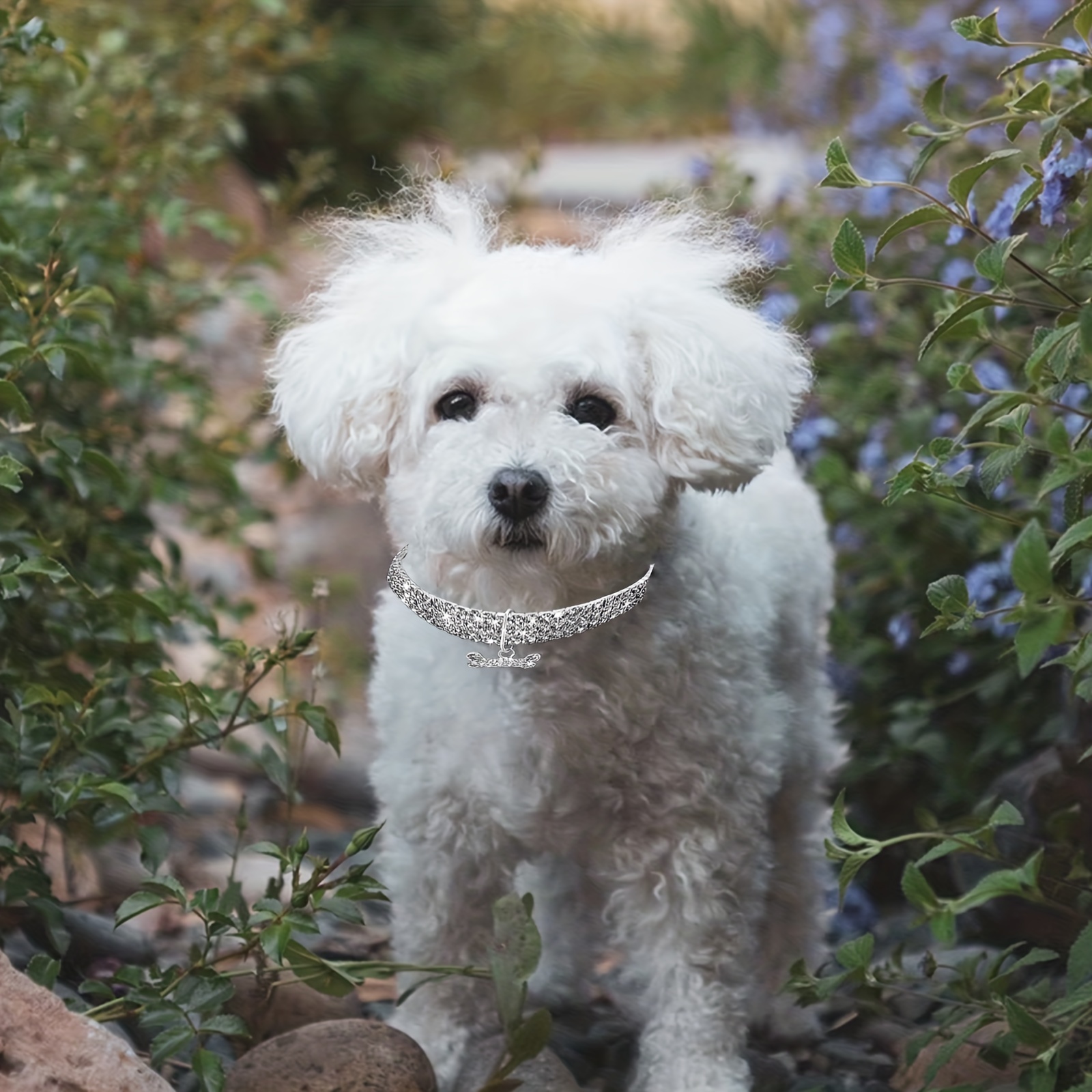 Mini Diamond Gray Dog Collar