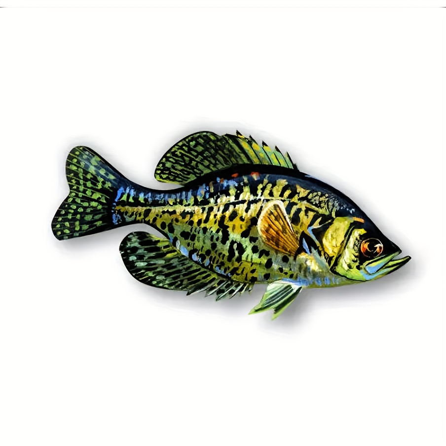 4in1 Crappie Fish Decal For Car