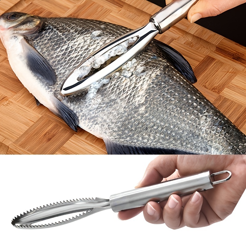 Upgrade Your Kitchen with this 1pc Stainless Steel Fish Scaler - Perfect  for Cleaning Fish & Scrapping Scale!