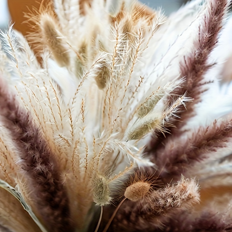 100PCS Natural Dried Pampas Grass Decor - 17.5 Fluffy Pampas Grass Bouquet  - Boho Home Decor Dried Flowers for Wedding Floral Room Home Party Table  Decorations