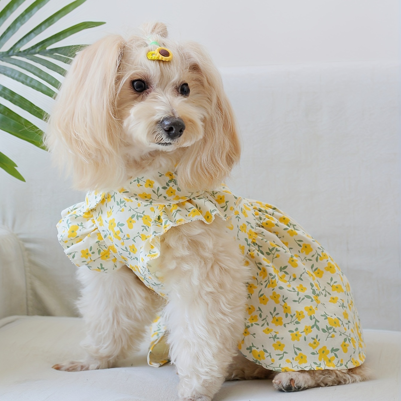 Floral Print Pet Dress
