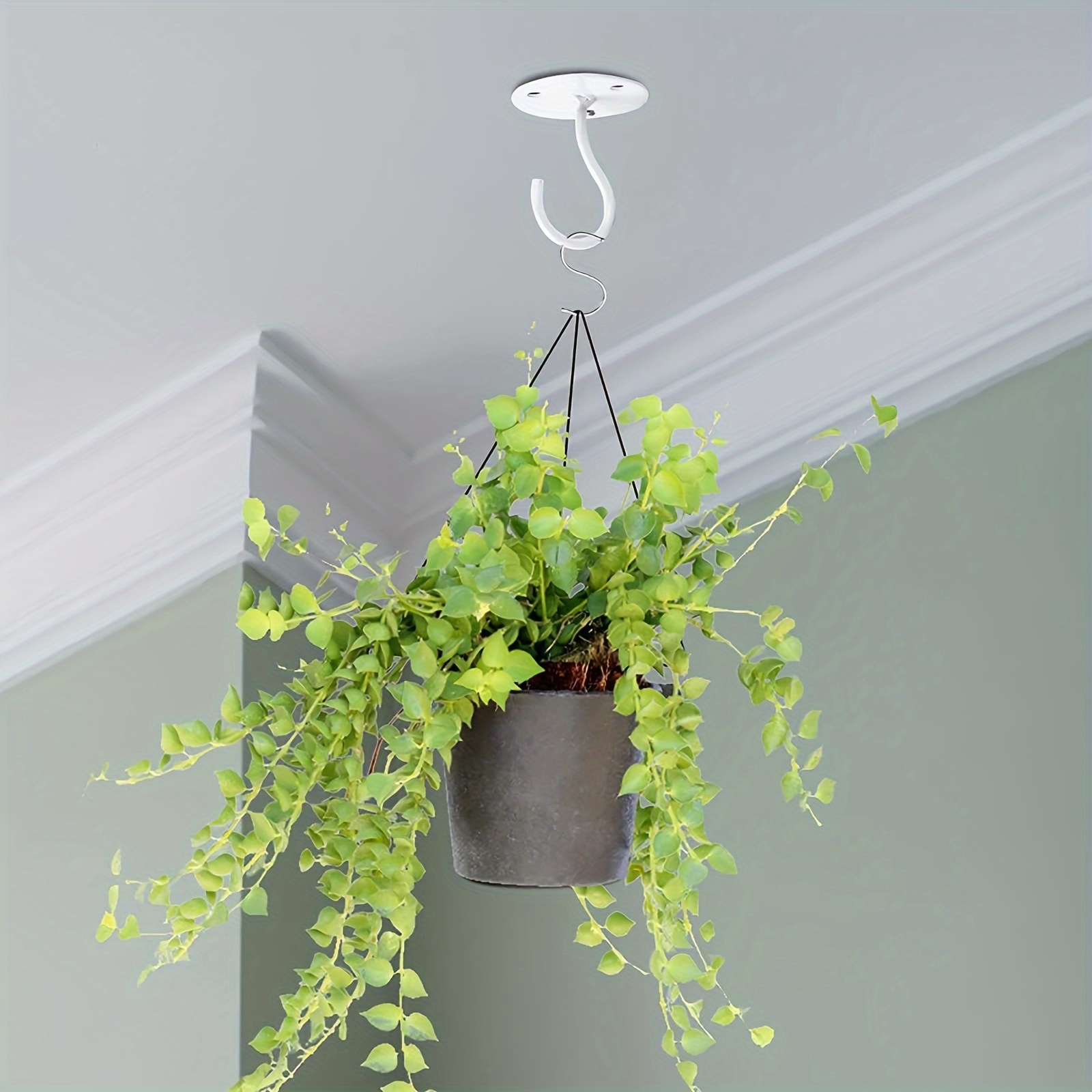 Hanging Vas For Wall - Temu