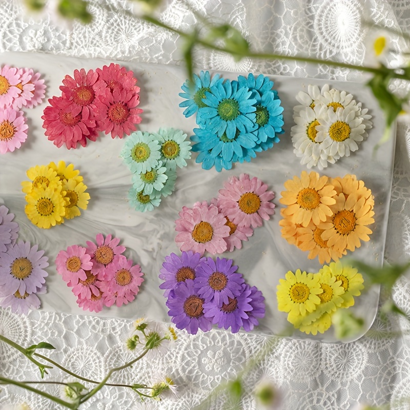 Kit mosaïque Fleur Romaine - DIY - artisanat et bricolage pour adulte -  cadeau idéal fait main : : Produits Handmade