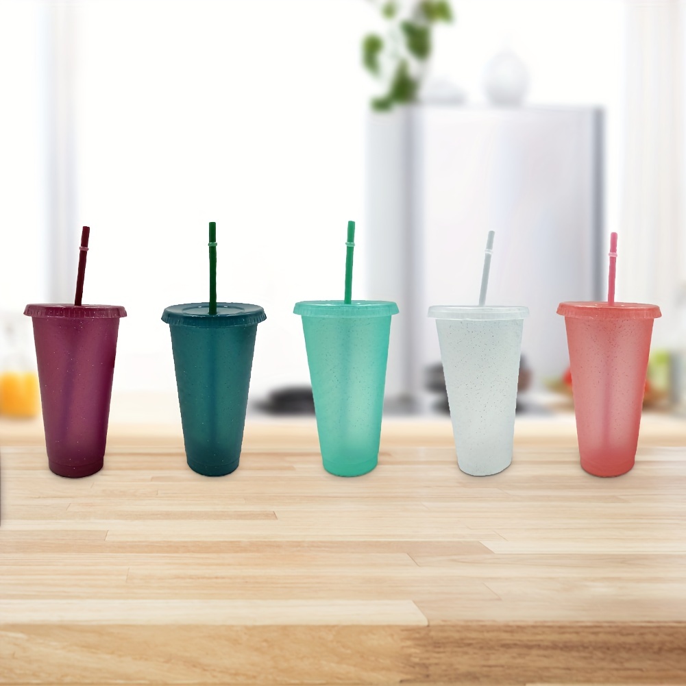 Reusable Plastic Cup 5 Pcs Drinkware Tumblers Coloured Acrylic Cups  Reusable Tumblers with Lids and Straws Plastic Bulk Iced Plastic Cold Water  Tumblers Iced Coffee Cups Travel Mug Party Tumbler 710ML (Colorful)