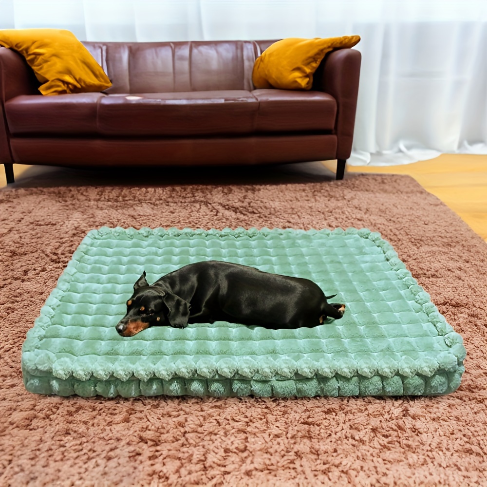 Padded dog mat hotsell