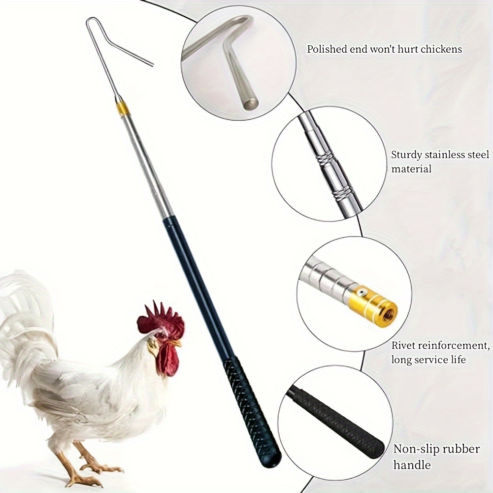  MAUKUDIR Upgraded Chicken Net and Chicken Catcher Leg Hook,  Stainless Steel Retractable Long Chicken Catcher, Farm Tools for Poultry  Chicken Turkeys Geese Ducks Birds Small Animals and Fish : Patio