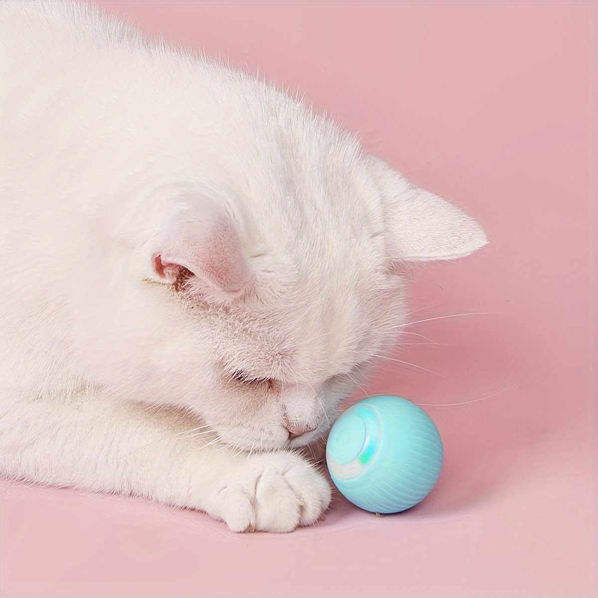 Pet Cat Toys, Self-entertaining Chewableteaser Cat Toy Balls, Colorful  Bells Fleece Balls Cat Supplies Fidget Toy Cat Accessories - Temu