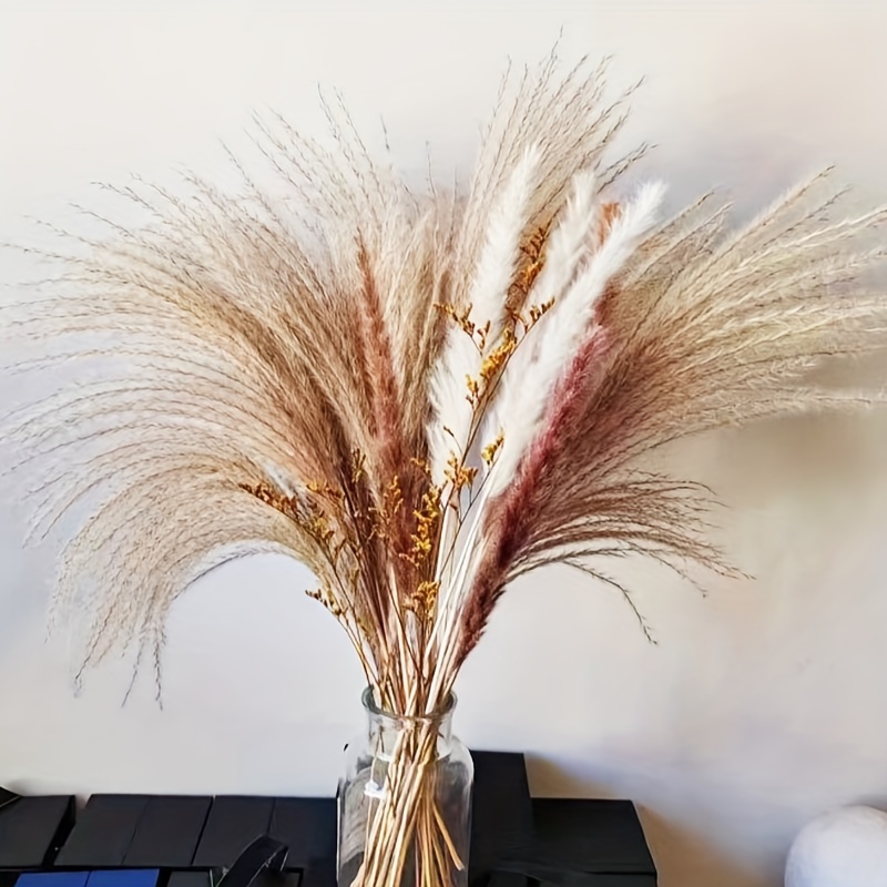 Natural Dried Flower Reed Pampas Grass Boho Home Decorations Wedding  Accessories