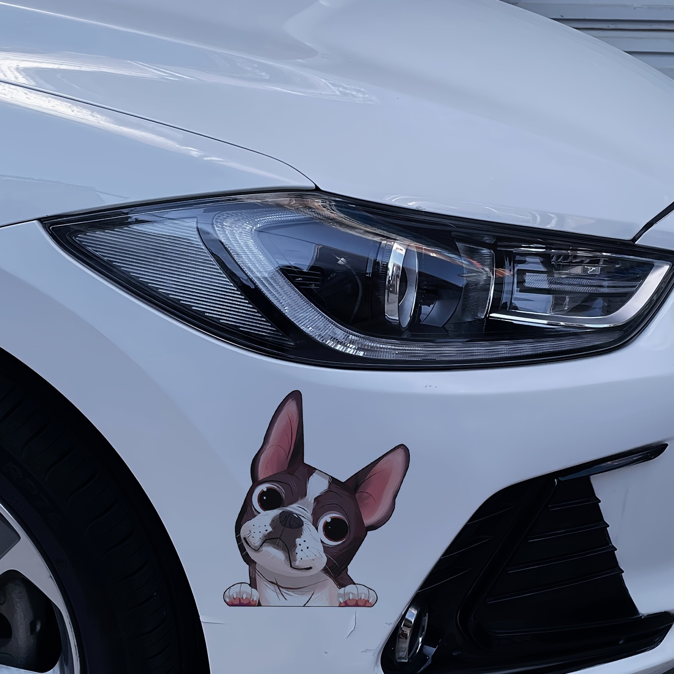 schöne hund katze auto aufkleber pvc aufkleber aufkleber wasserdicht auto  styling haustier abziehbilder für wand haus glas fenster tür