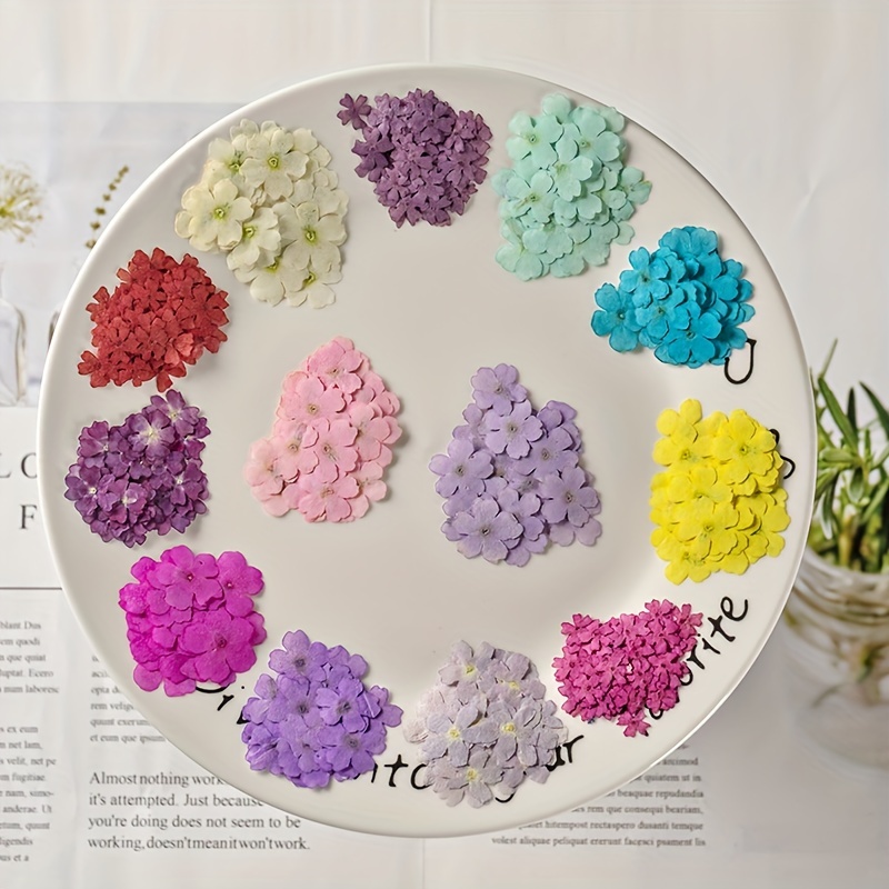 Flores secas para moldes de joyería de resina con pinzas, hojas de flores  secas prensadas reales mezcladas con múltiples colores, para manualidades
