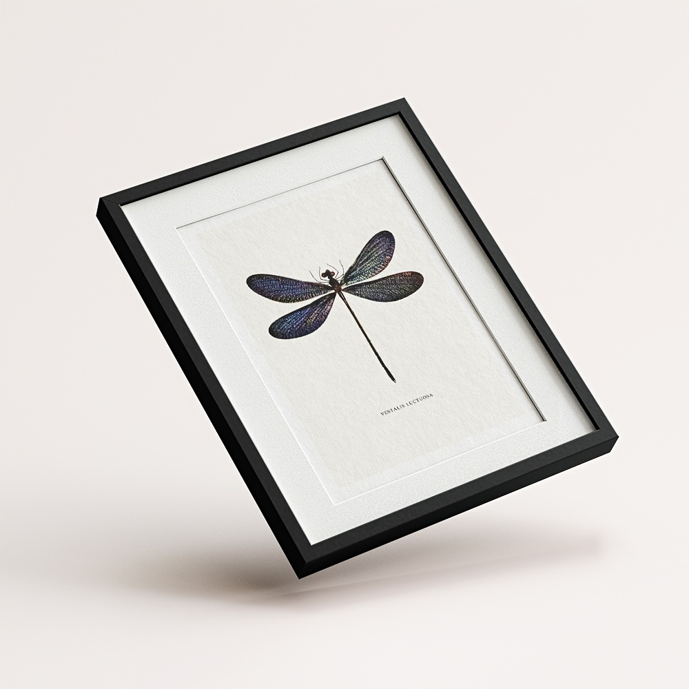6pcs Dragonfly Specimen Art Posters for Home Decor - A5 A4 A3 A2 Sizes