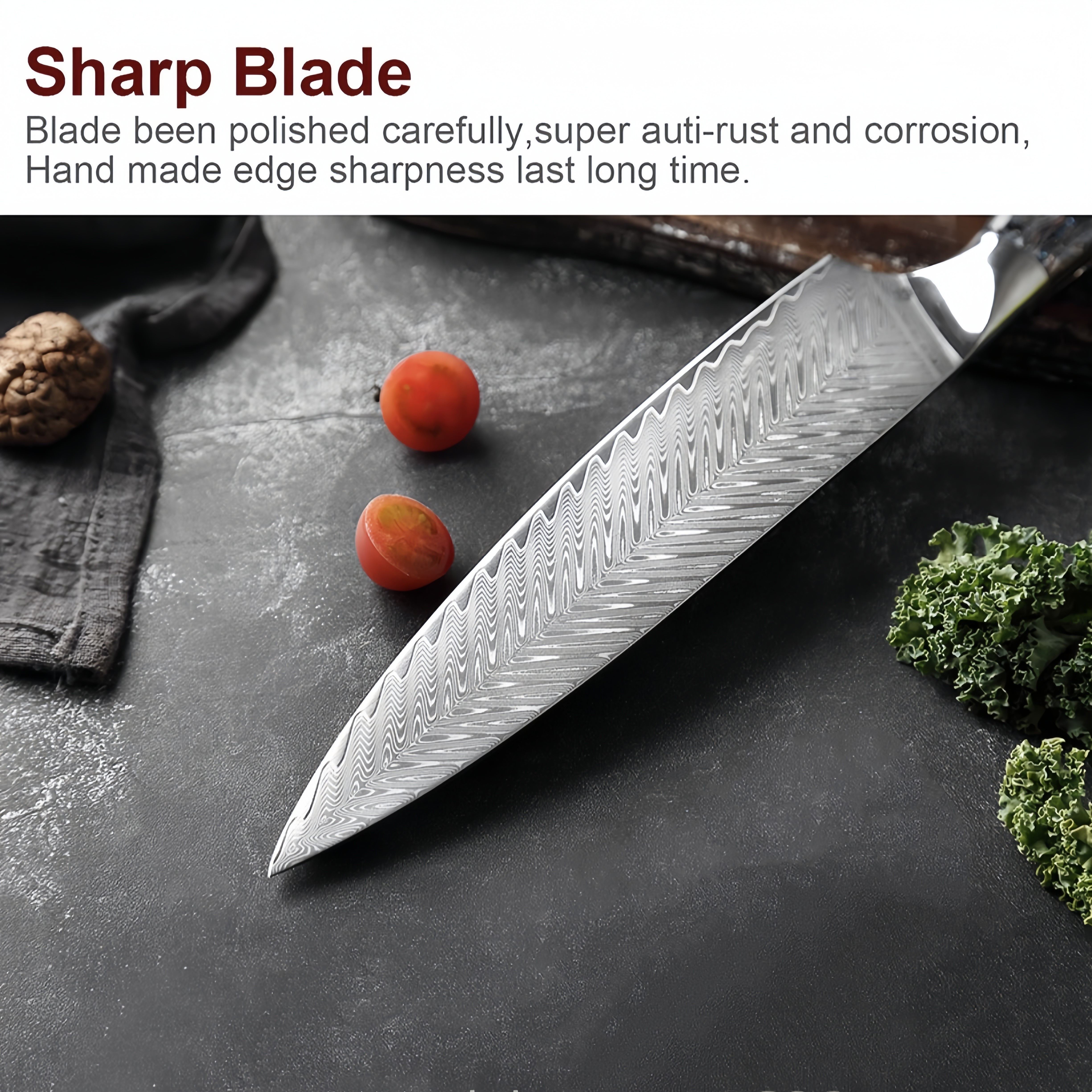 Curved Slicer (Butcher) Knife 10 Inch - Damascus Japanese VG10 Super Steel  67 Layer High Carbon Stainless Steel