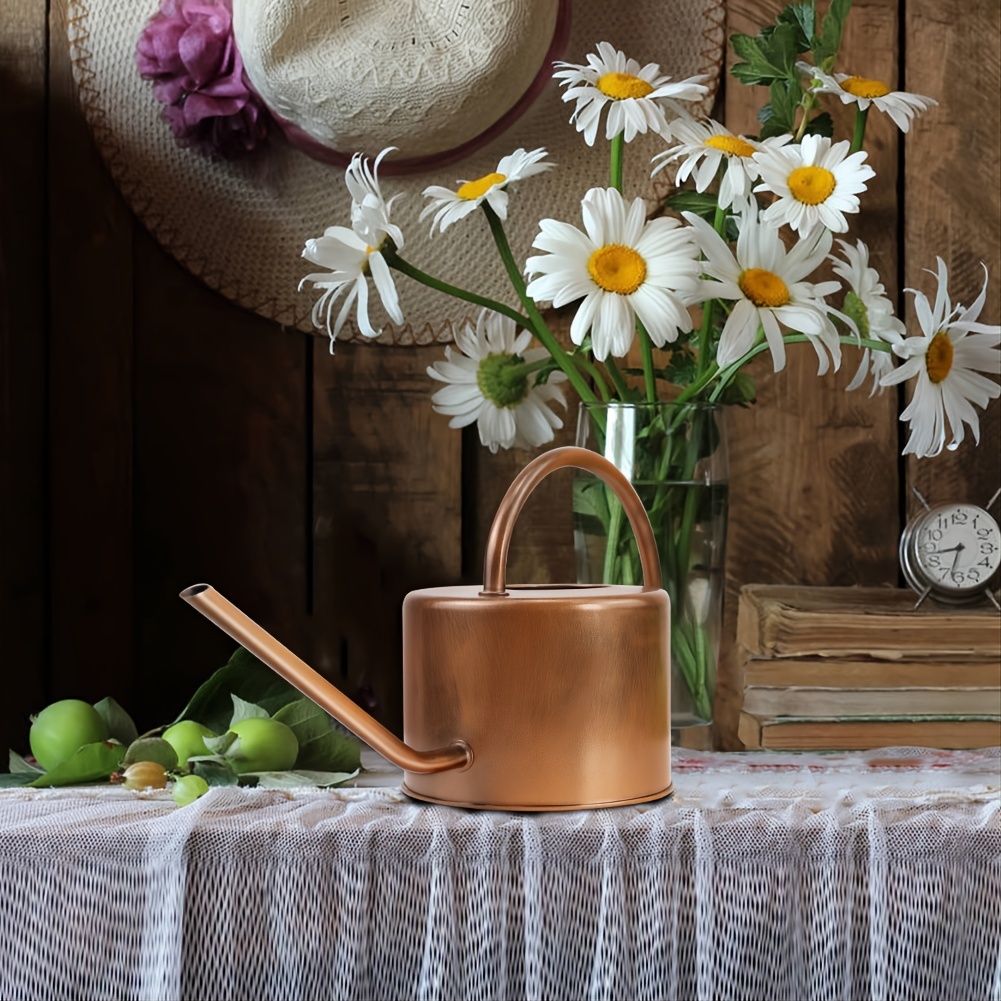 Homarden Couleur Cuivre 40 Oz. arrosoir - Arrosoir En Métal Avec Bec Long  Facile À Verser Pour Plantes D'intérieur Et D' à Prix Carrefour