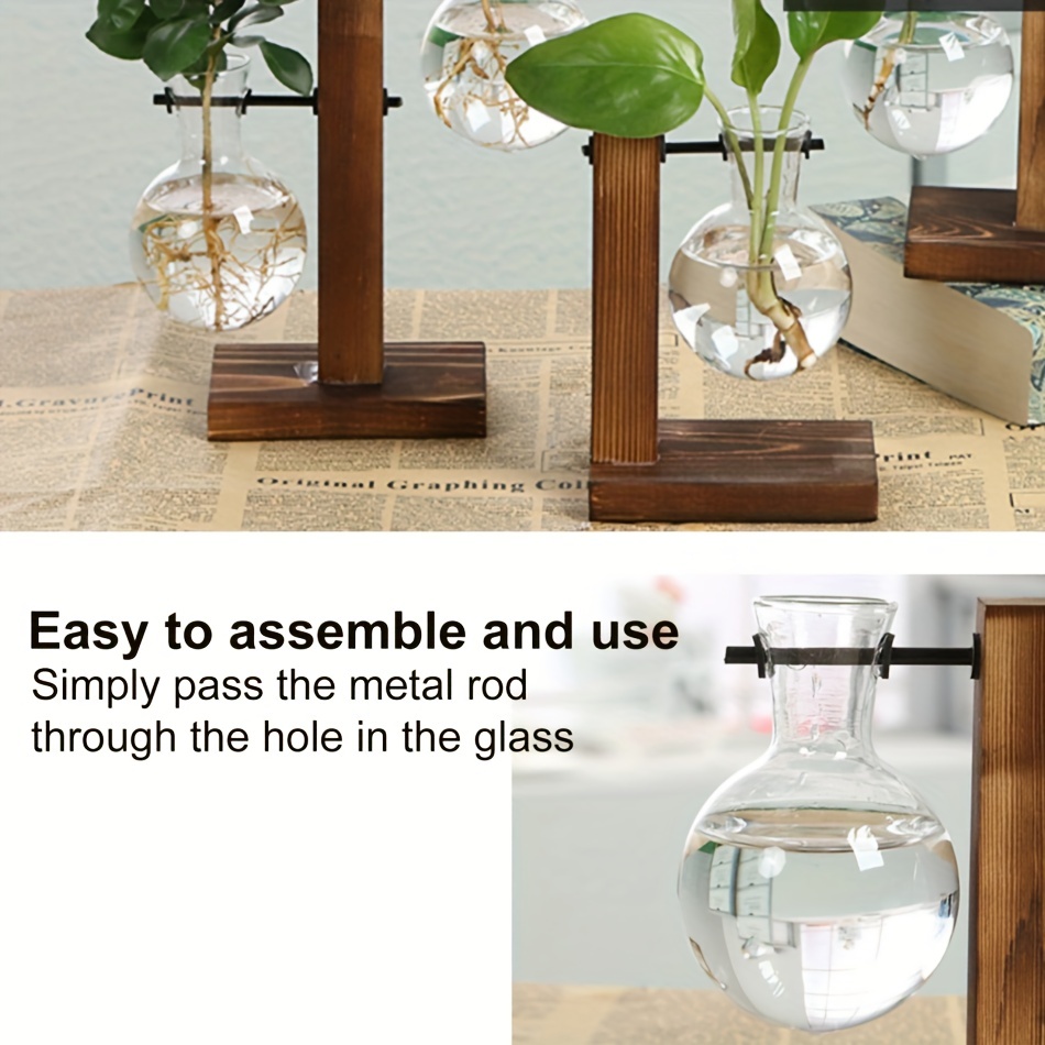 Glass Planter Bulb Vase Tabletop Plant Terrarium Kit With - Temu