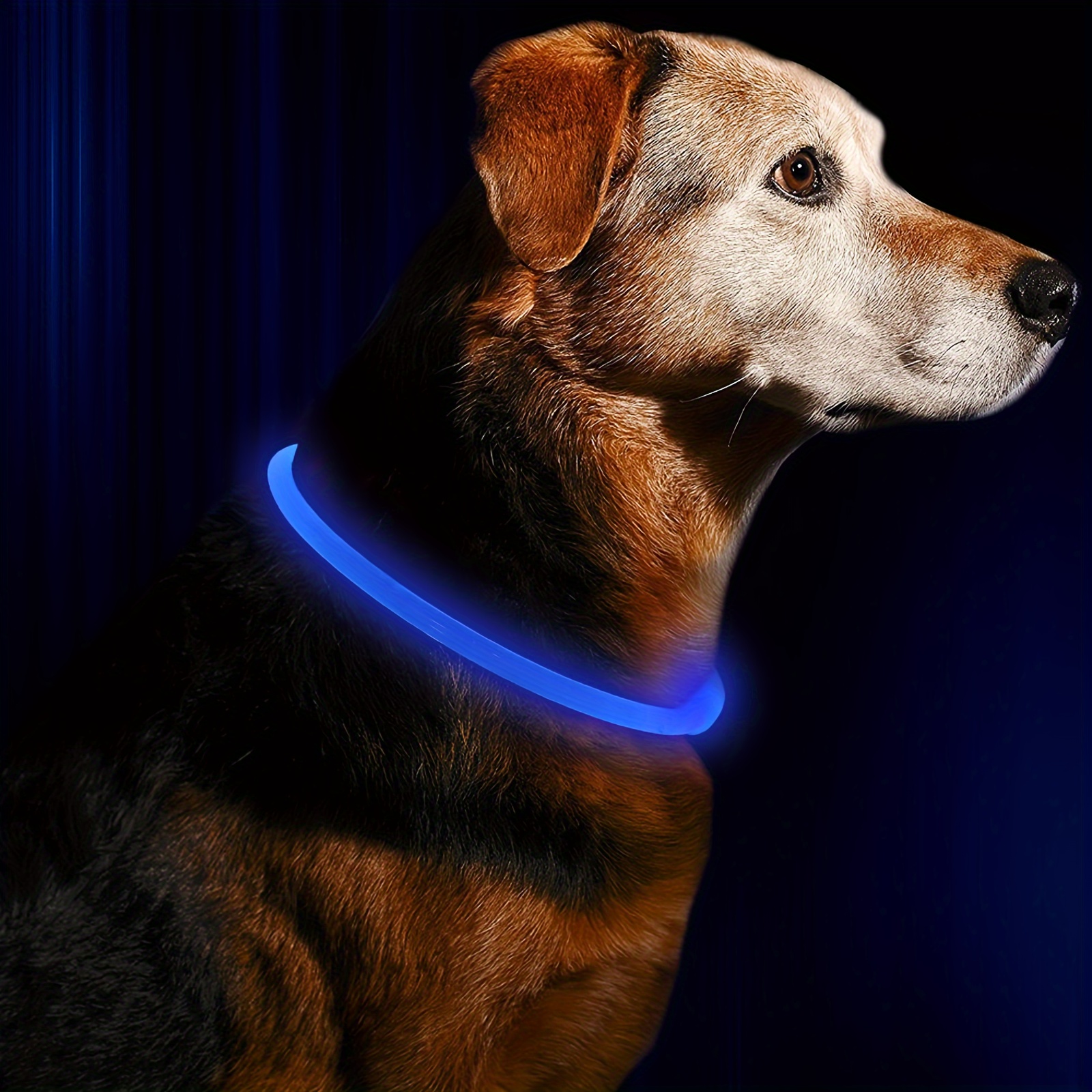 Collar de perro LED iluminación, recargable USB corte ajustable a tamaño  ultra brillante collar de luz resplandeciente – Pecheritas