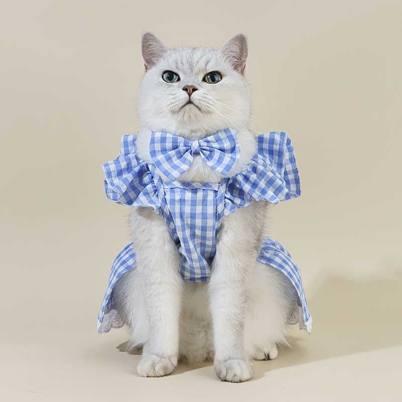 Cats dressed in on sale clothes