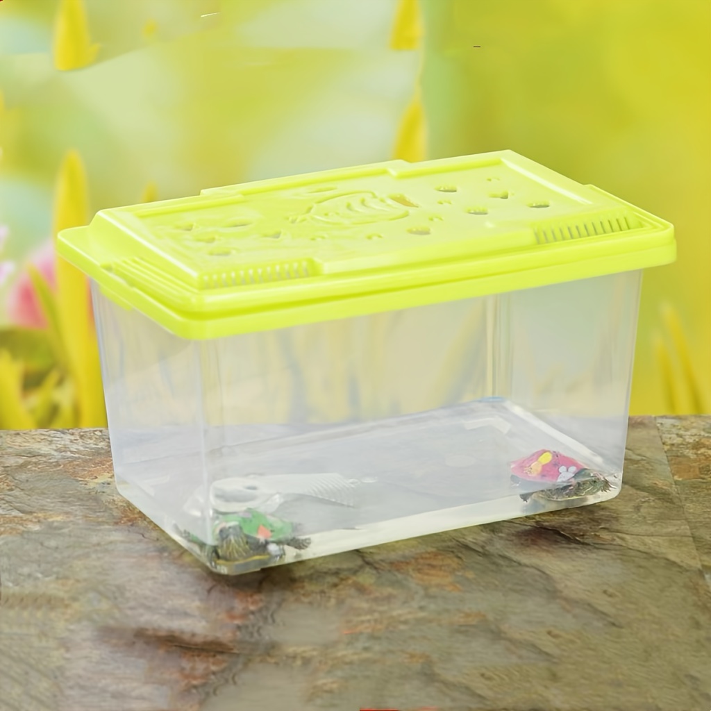  Portable Fish Tank Handheld Fish Tank,Plastic Mini Fish Box  Transparent Cutout Design, Plastic Aquarium with Handle for Turtle and Pet  Fish (Random Color Lid) : Pet Supplies