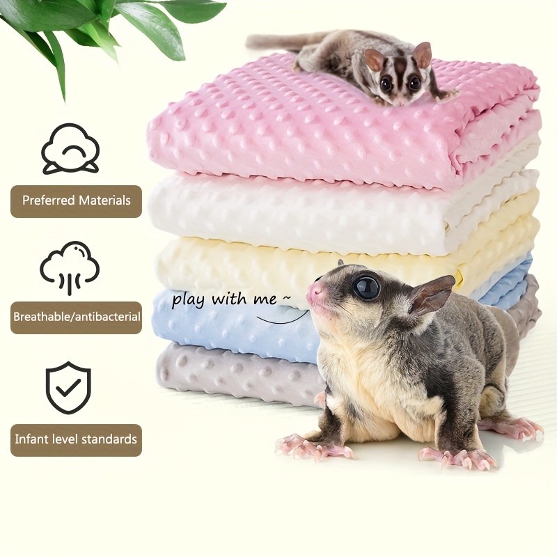 Sugar glider hot sale dust bath