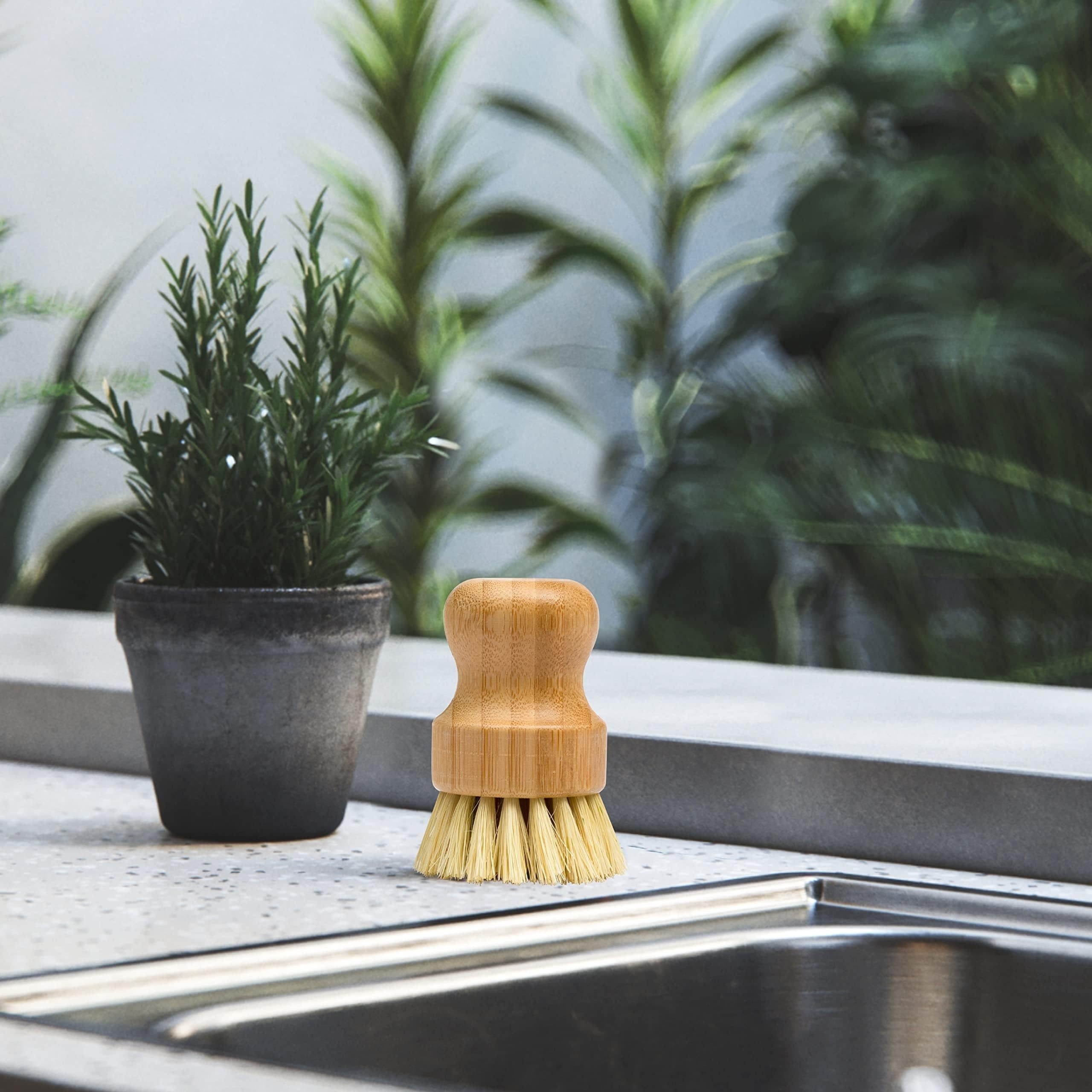 Short Sisal Dish Brush for Kitchen Bathroom Cleaning Produce