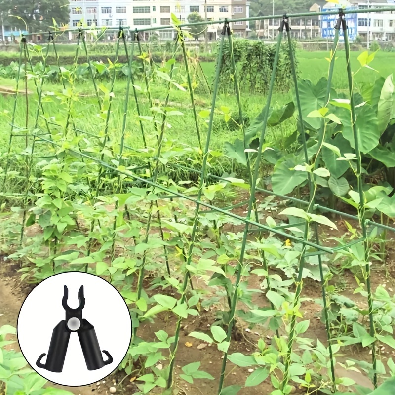 トマト-サポート-トレリス-モダン-プラスチック-裏庭