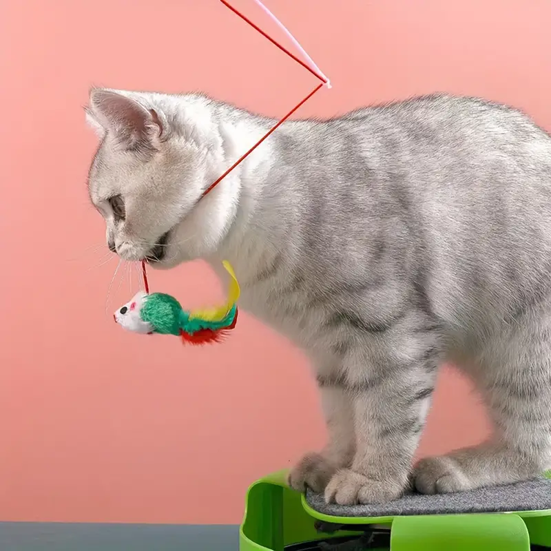 Random Color) Cat Toys Fishing Rod Bell Mouse Cat teasing - Temu
