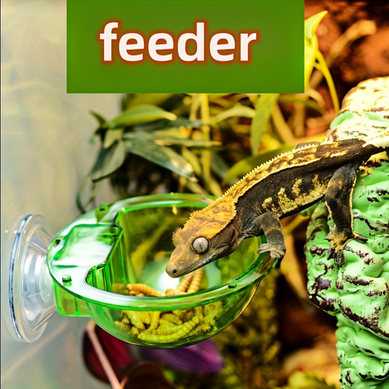 Feeder cup outlet for chameleon