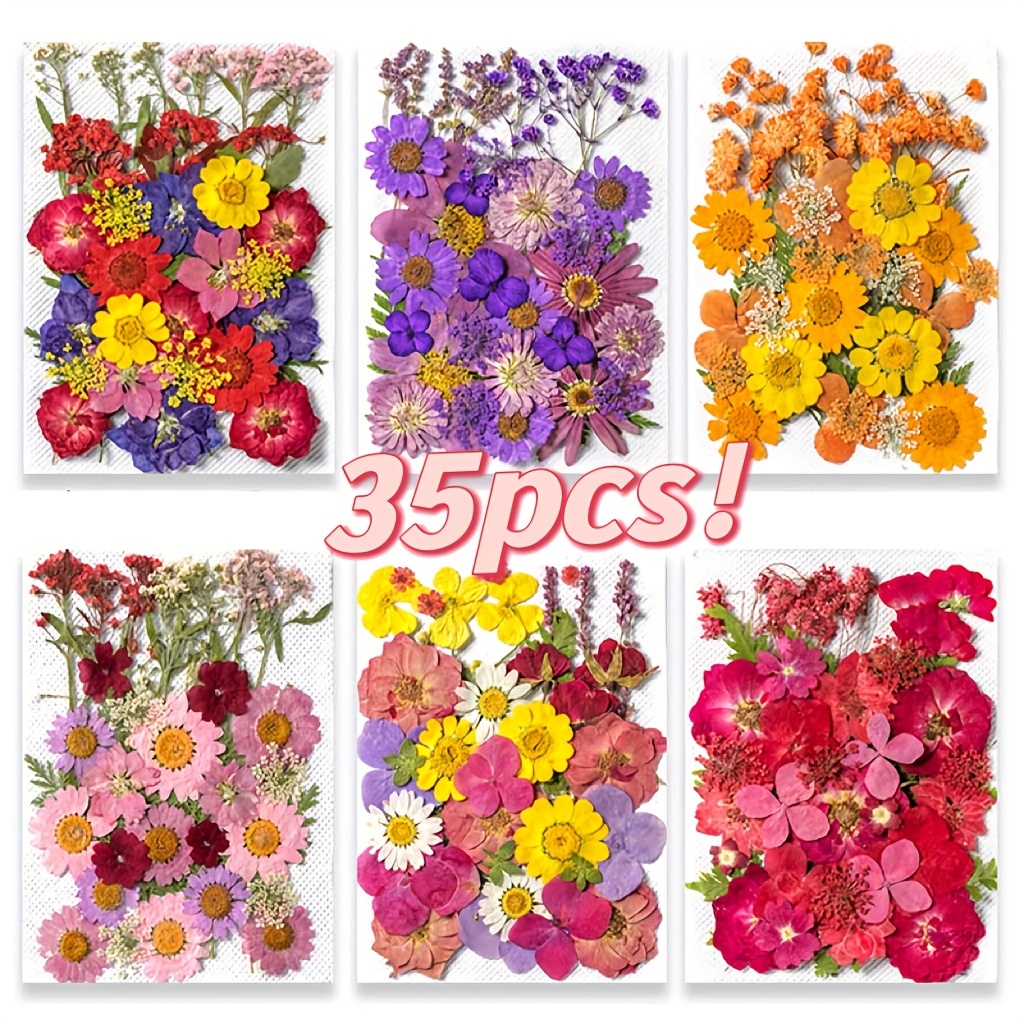 Flores Secas Coloridas Manualidades Resina Epoxi Ramo Diy - Temu Spain