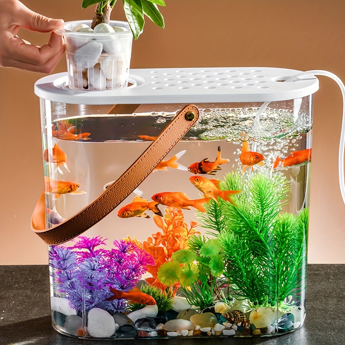 Desktop Storage Box Fish Transparent Aquarium Temu